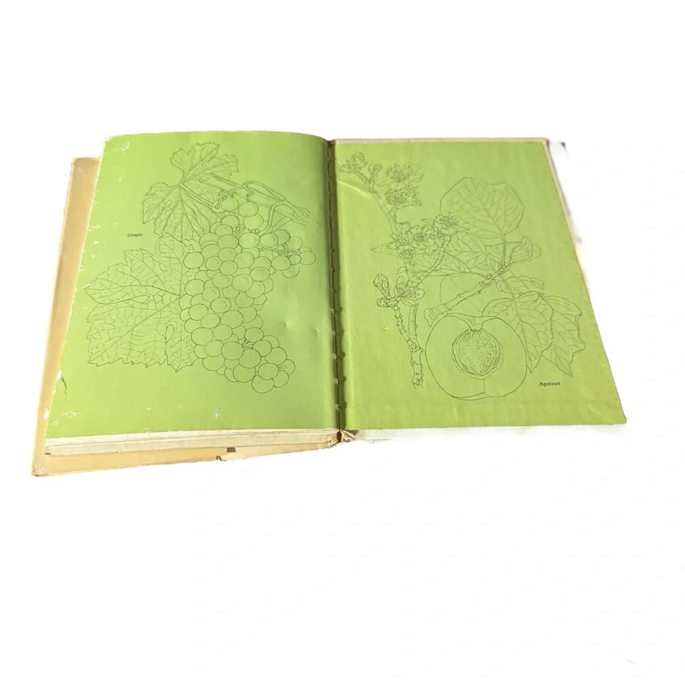 Plants of the‎ Bible  (1st Ed) by Louis Untermeyer, Anne Orphelia Dowden